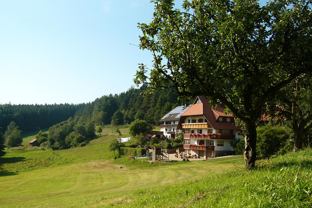 Schlosshof - Der Urlaubsbauernhof Villa Elzach Kültér fotó