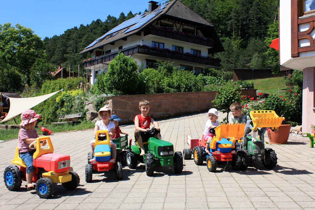 Schlosshof - Der Urlaubsbauernhof Villa Elzach Kültér fotó