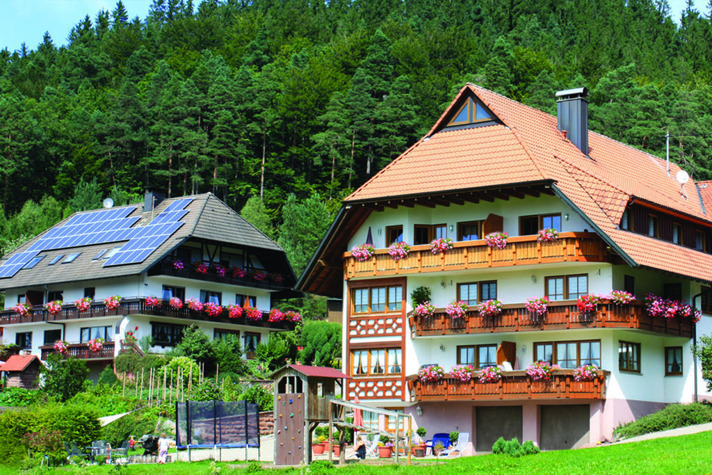 Schlosshof - Der Urlaubsbauernhof Villa Elzach Kültér fotó