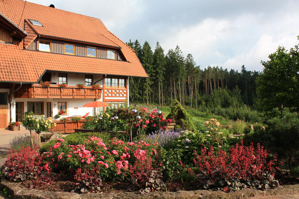 Schlosshof - Der Urlaubsbauernhof Villa Elzach Kültér fotó